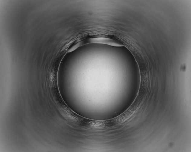 X0000100950088200807011319