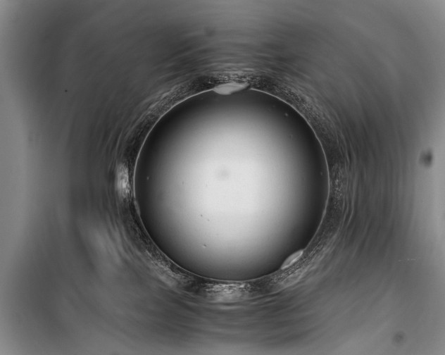 X0000100950089200807011319