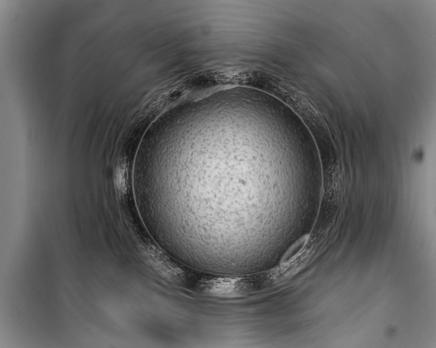 X0000100950090200807011319