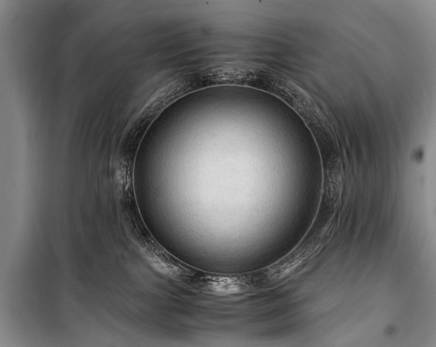 X0000100950091200807011319