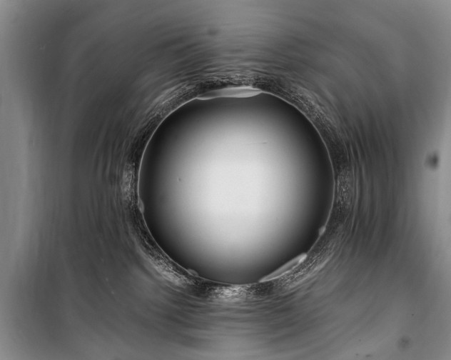 X0000100950092200807011319