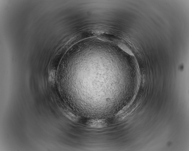 X0000100950093200807011319
