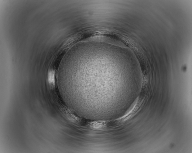 X0000100950094200807011319