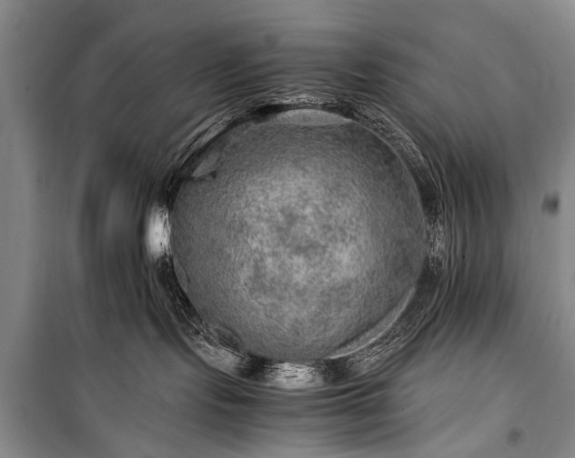 X0000100950095200807011319