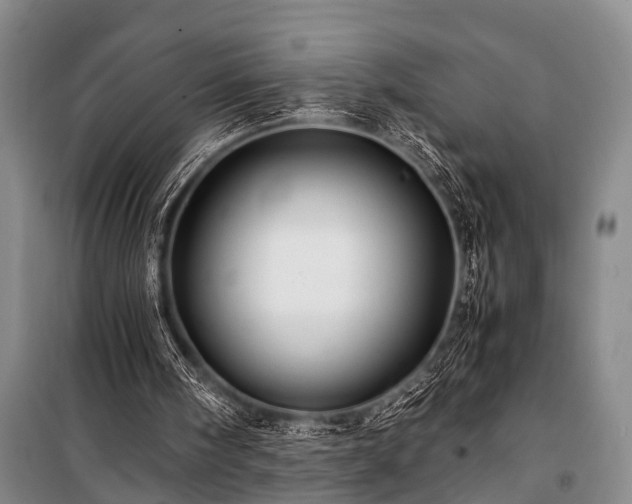 X0000100950098200807011318