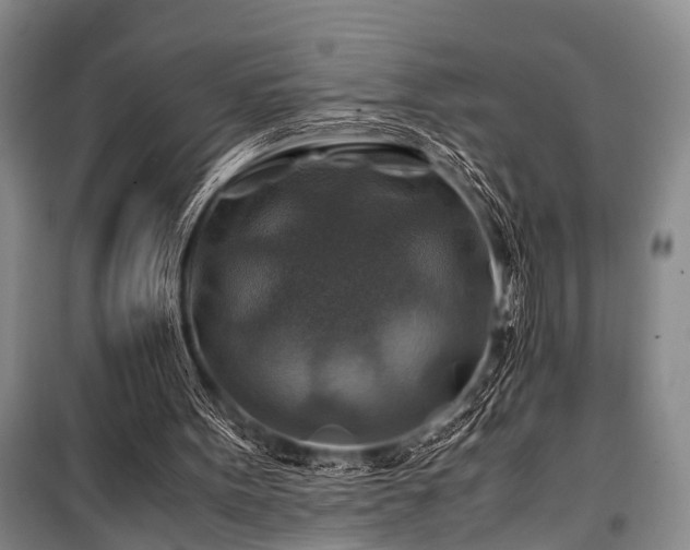 X0000100950099200807011318