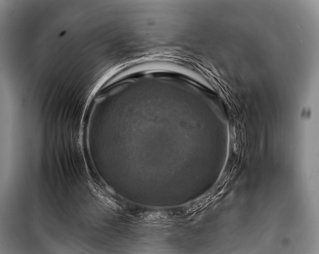 X0000100950100200807011318
