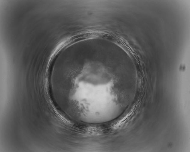 X0000100950101200807011318