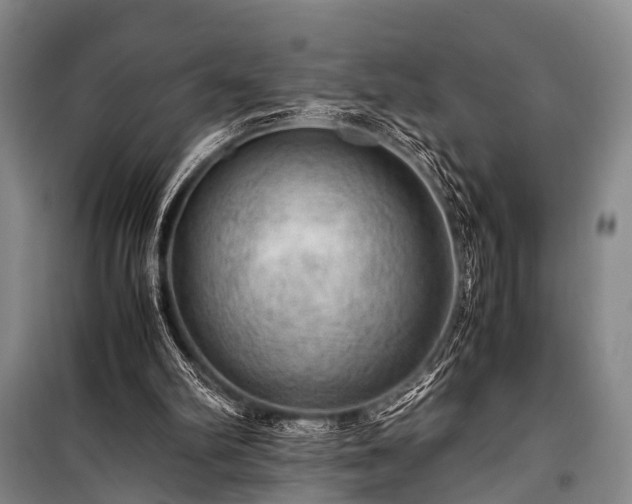 X0000100950102200807011318
