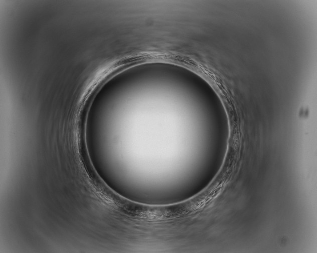 X0000100950103200807011318