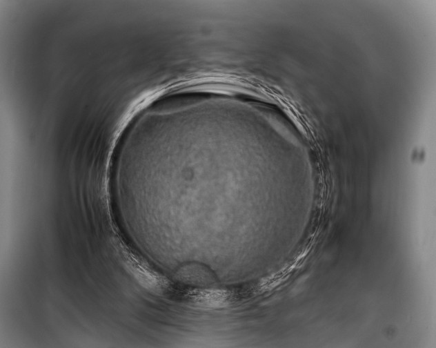 X0000100950104200807011318
