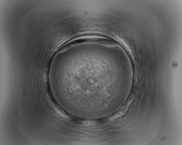 X0000100950105200807011318