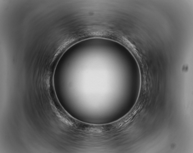 X0000100950106200807011318