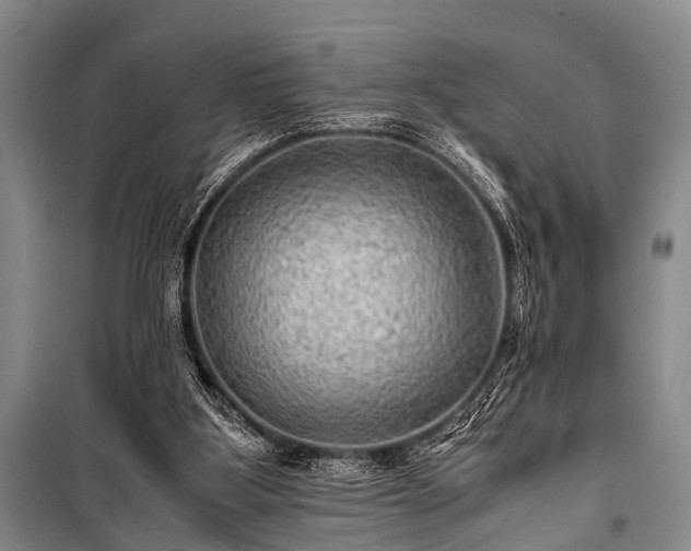 X0000100950107200807011318