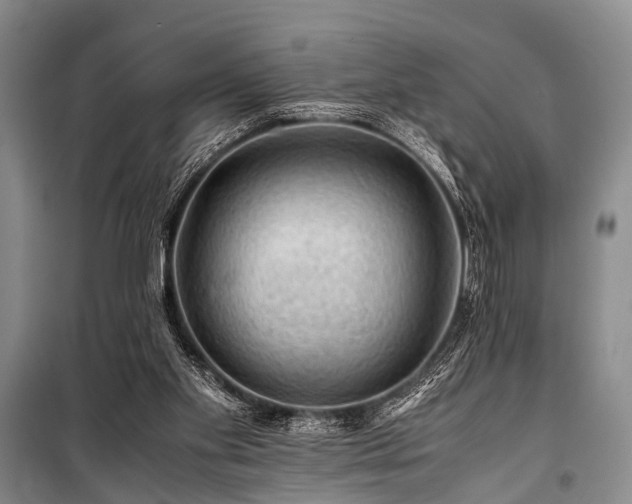 X0000100950109200807011318