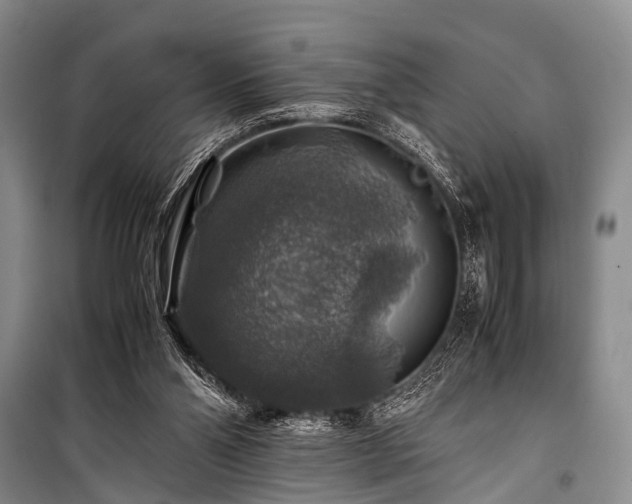 X0000100950110200807011318