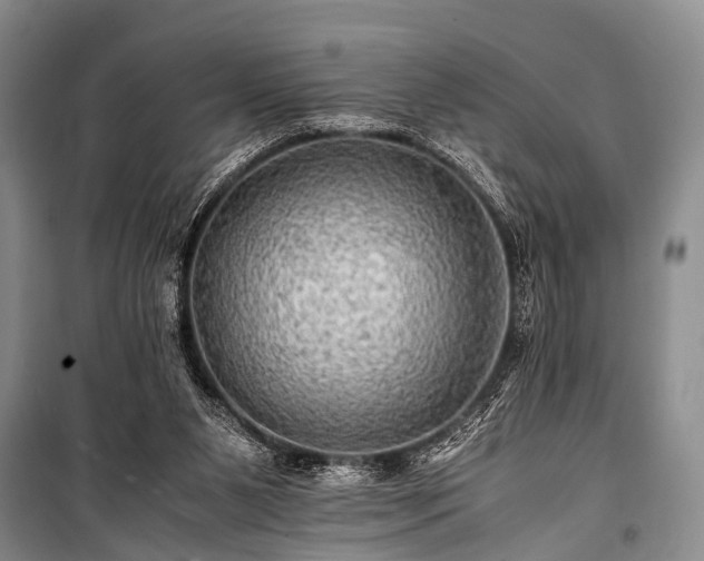 X0000100950111200807011318