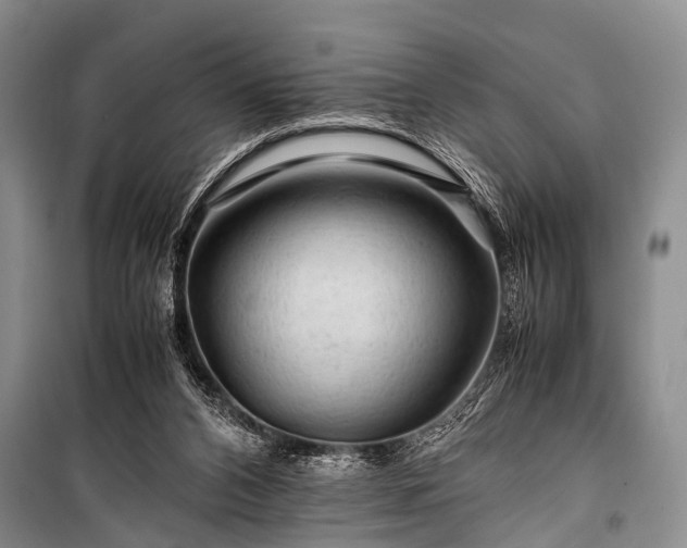 X0000100950112200807011318