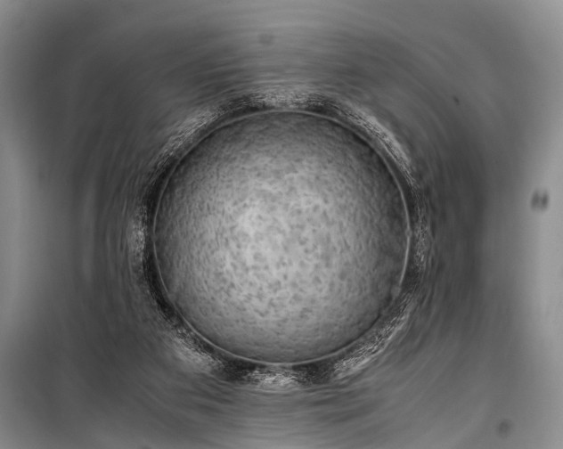 X0000100950113200807011318