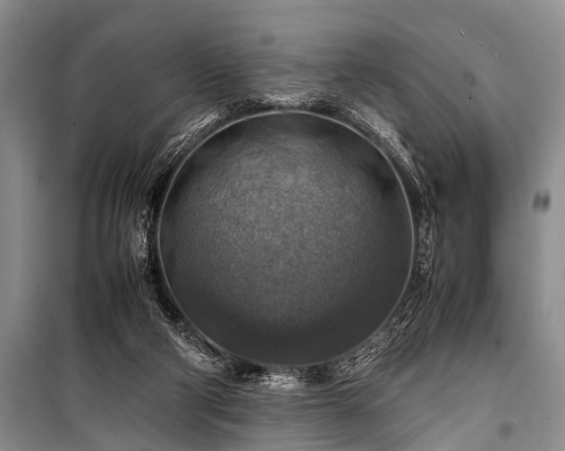 X0000100950114200807011318