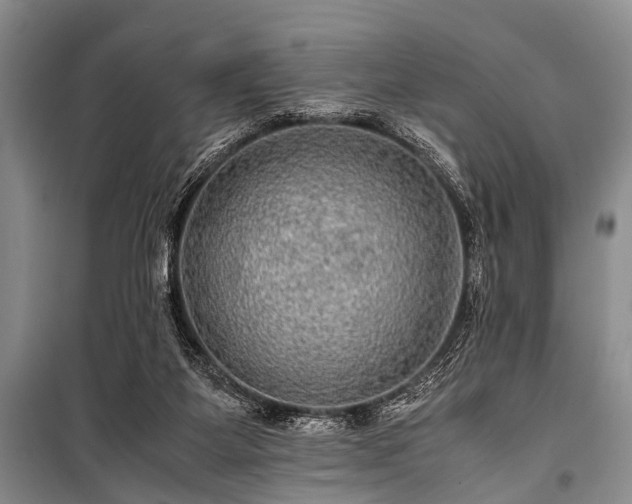 X0000100950115200807011318