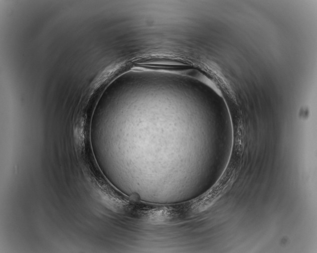X0000100950116200807011318