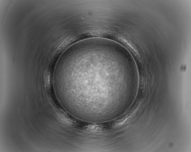 X0000100950117200807011318