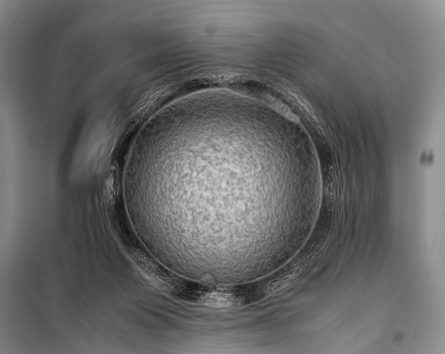 X0000100950119200807011318