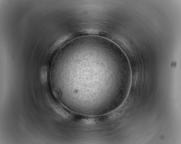 X0000100950120200807011318