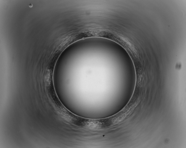 X0000100950121200807011318