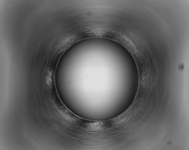 X0000100950122200807011318