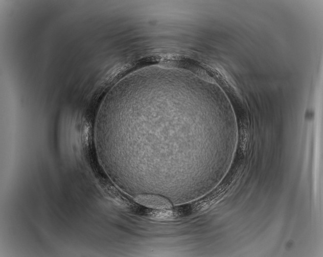 X0000100950123200807011317