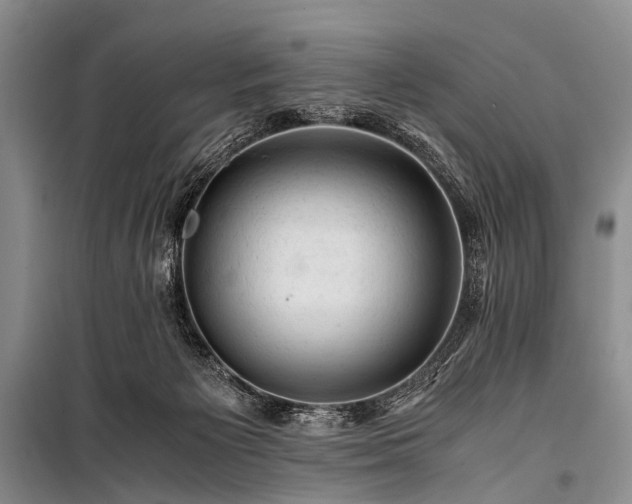 X0000100950125200807011317