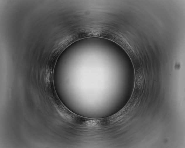 X0000100950126200807011317