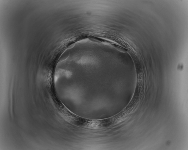 X0000100950127200807011317
