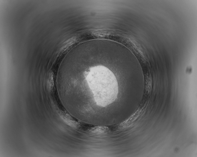 X0000100950128200807011317