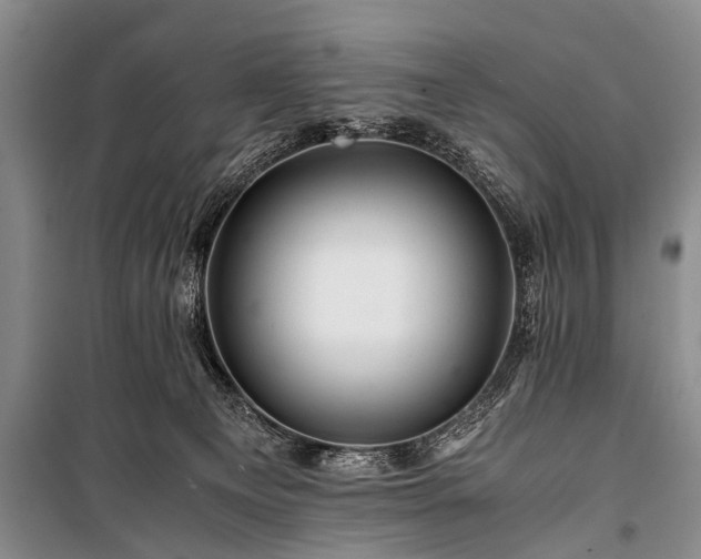 X0000100950129200807011317