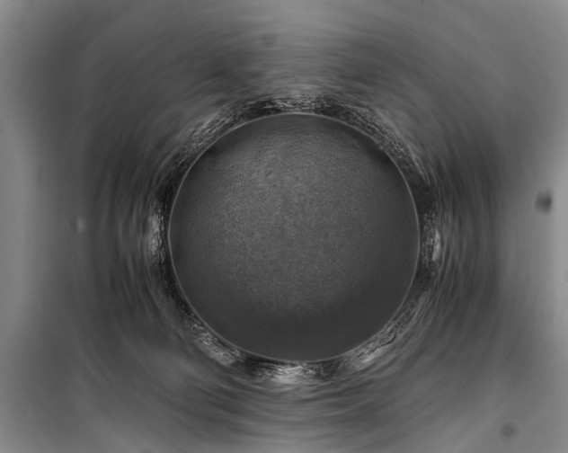 X0000100950130200807011317