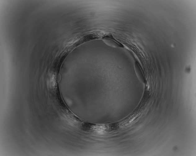 X0000100950131200807011317