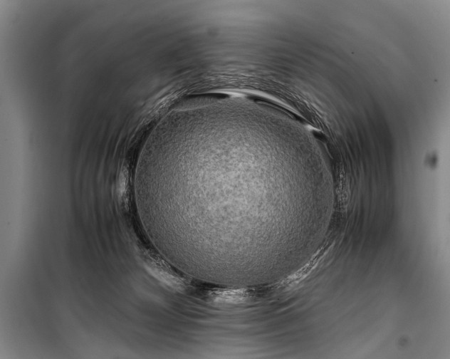 X0000100950132200807011317