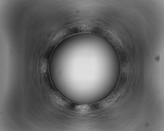 X0000100950133200807011317