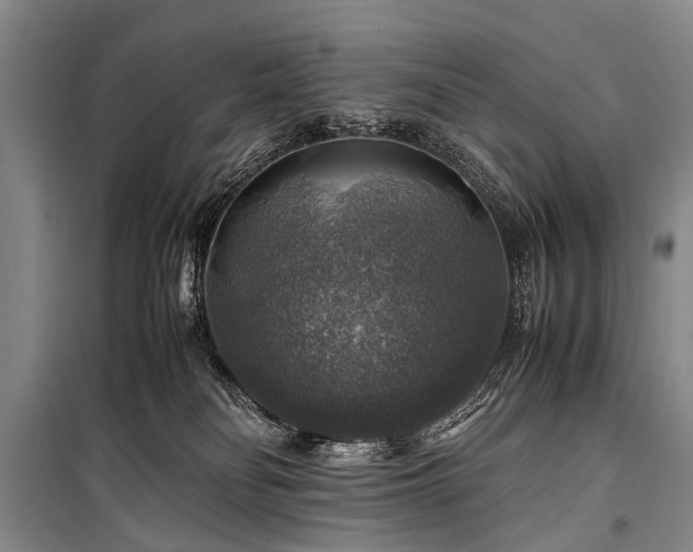 X0000100950134200807011317