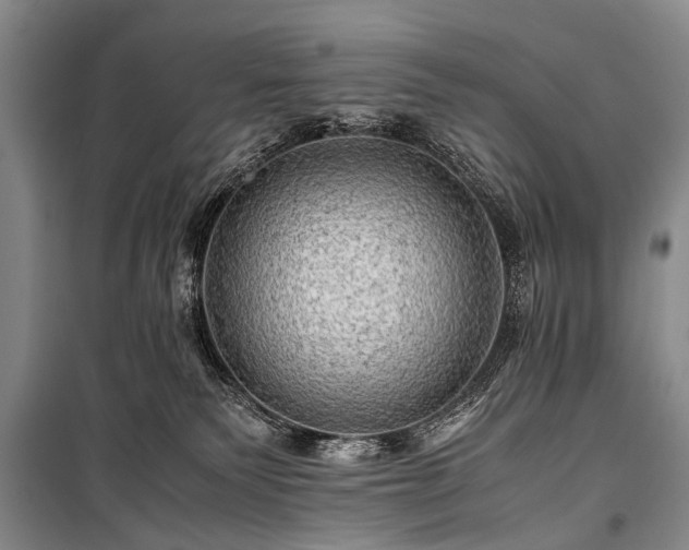 X0000100950135200807011317
