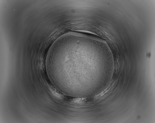 X0000100950136200807011317