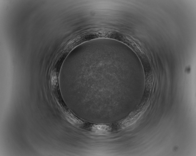 X0000100950137200807011317
