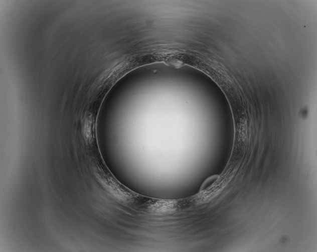 X0000100950138200807011317