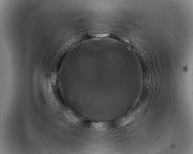 X0000100950139200807011317