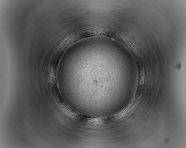 X0000100950140200807011317
