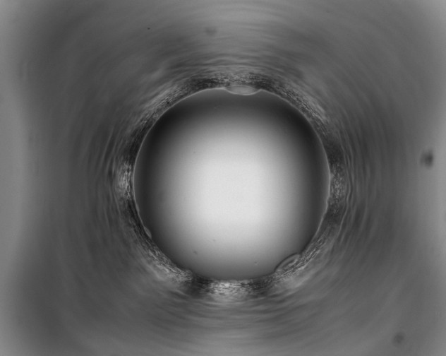X0000100950141200807011317