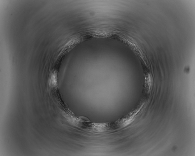X0000100950143200807011317